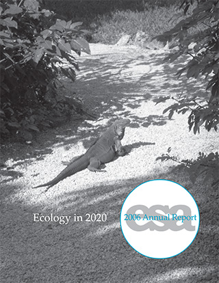 2006 Annual Report Cover.