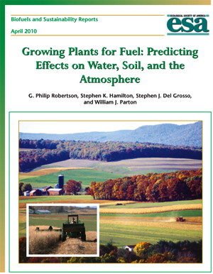 Biofuels and Sustainability Report: Growing Plants for Fuel
