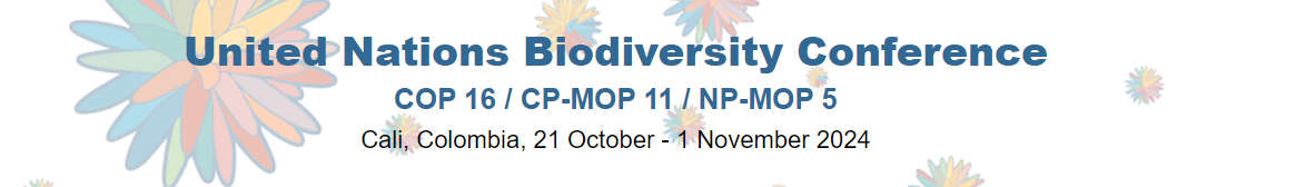 United Nations Biodiversity Conference. COP 16 / CP-MOP 11 / NP-MOP 5. Cali, Colombia, 21 October - 1 November 2024