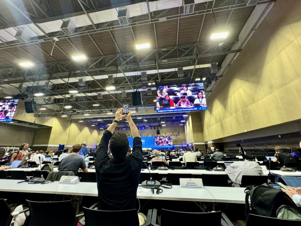 View from the seating area assigned to Academia and Research in the Amazonia Room at the Centro de Eventos Valle del Pacífico, Cali, Colombia, during COP16. An attendee from Business and Industry extends their arms to lift their phone and capture a photo of the plenary session.