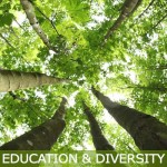Education and Diversity