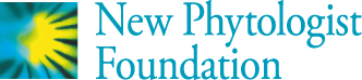 Official logo of the new phytologist foundation has an aqua color and green starburst along with the text, New Phytologist Foundation.