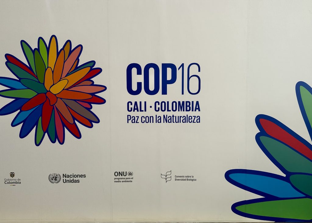 Logo mural of COP16 in Cali, Colombia.