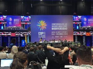 Conference hall filled with delegates attending COP16 in Cali, Colombia, October 2024. Large screens display the event title: "Conference of the United Nations on Biodiversity," with speakers seated at the front panel