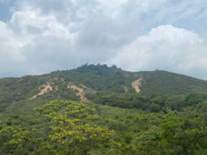 A view of the green, forested hillside of "Las Tres Cruces in Cali," Colombia, with visible trails winding up toward the summit. The top of the hill is dotted with communication towers under a cloudy sky.