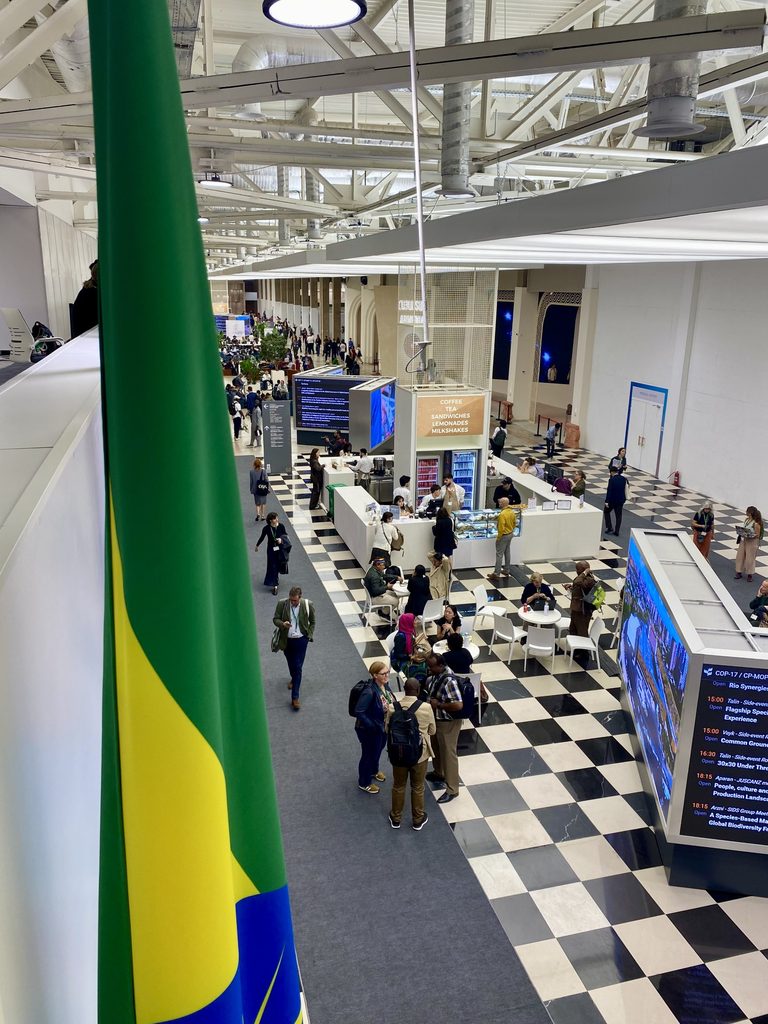 A conference hallway with dozens of attendees and country flags hanging on the wall.