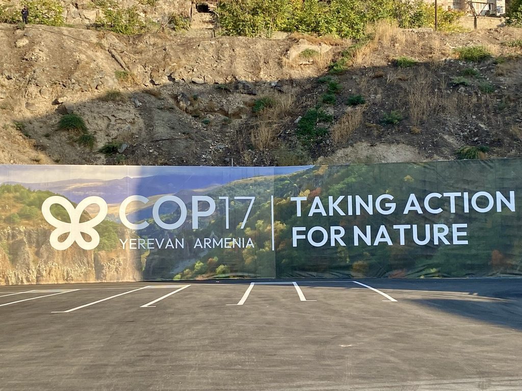 A billboard advertising the 2026 CBD COP17 meeting, with the words "Taking action for nature."