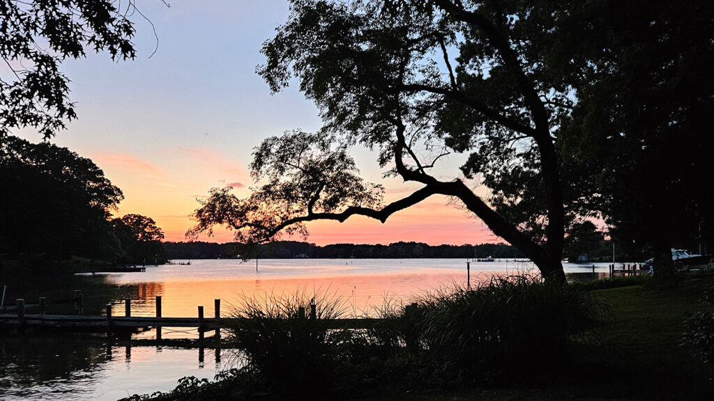 Living Trusts A property on a cover where trees overhang a pier.