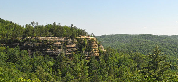 The rounded face of a cliff contrasts a wooded background.