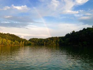 Image of a wooded shoreline with a rainbow cast on a blue sky.
