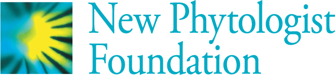 Official logo of New Phytologist Foundation features a blue and yellow globe with rays similar to a sun.