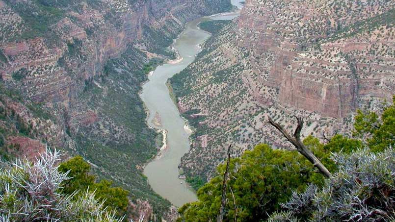 Program