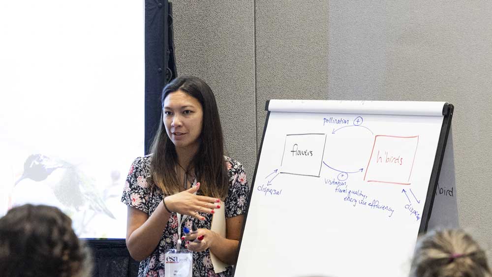 A point is made to the audience by a presenter.