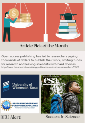 Latest Newsletters