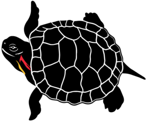 A turtle graphic.
