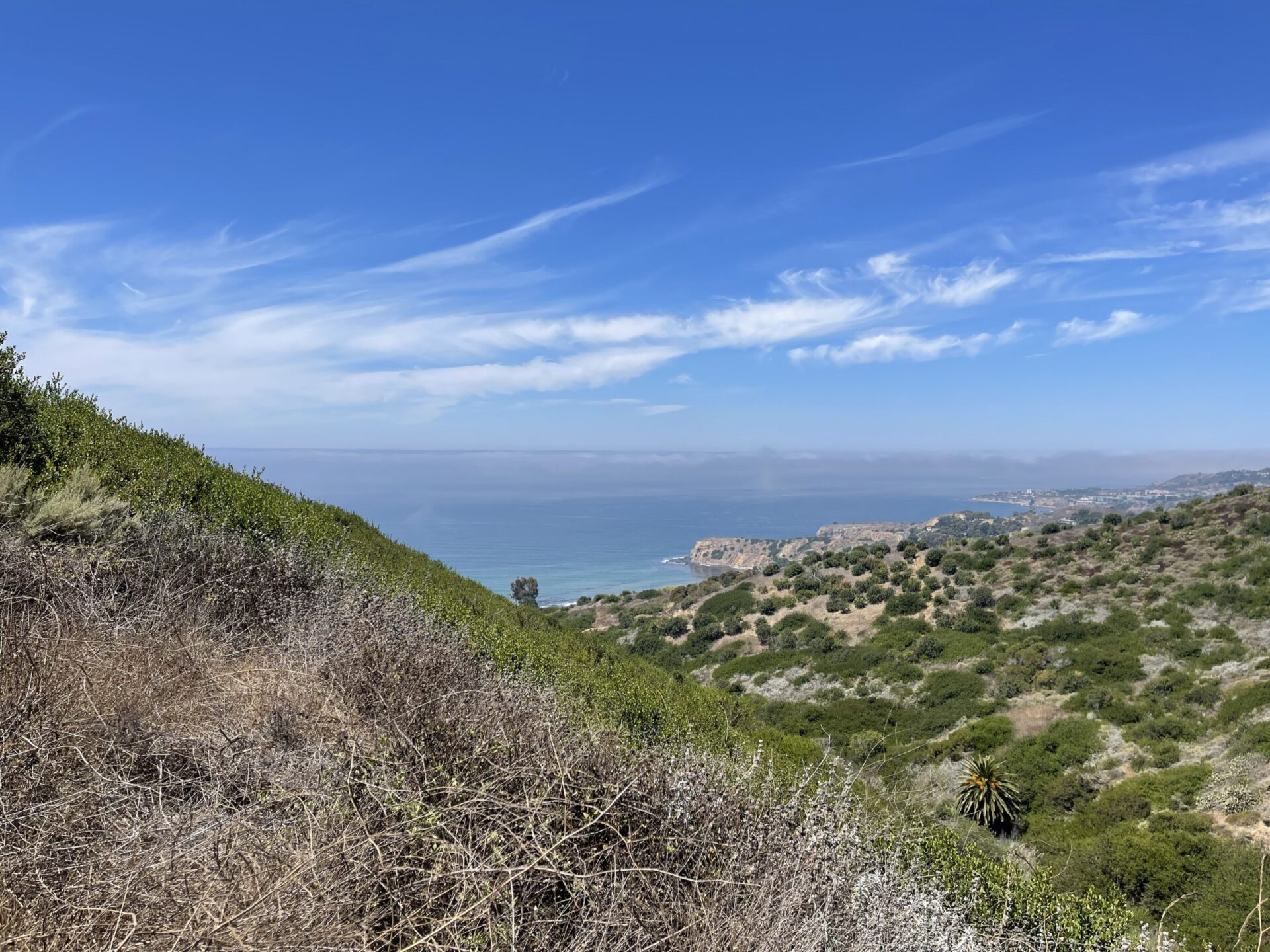 Photo of Pacific Ocean from Palos Verdes Nature Preserve, California