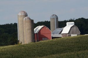 Dairy Farm near Poesta, IA, on Tuesday, Aug. 16, 2011. USDA Photo by Lance Cheung.