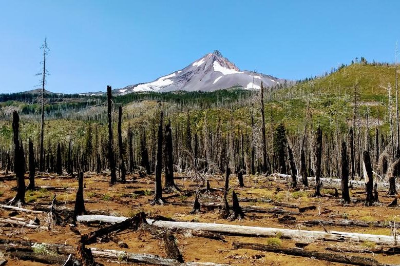 Driven by climate, more frequent, severe wildfires in Cascade Range ...