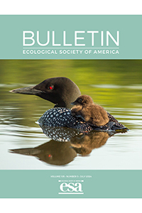 Cover of the July 2024 Bulletin