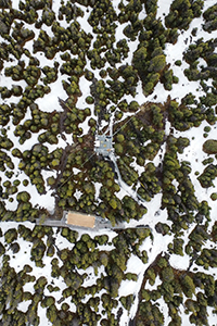 Thumbnail showing aerial imagery of a snowy evergreen forest