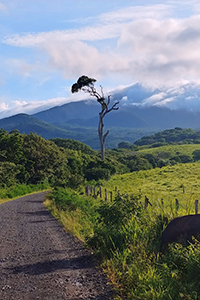 Thumbnail showing a road across a tropical landscape