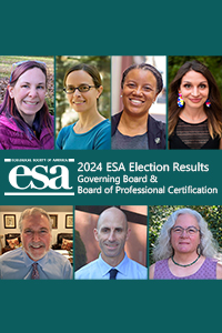 a mosaic of ESA's election winners for 2024