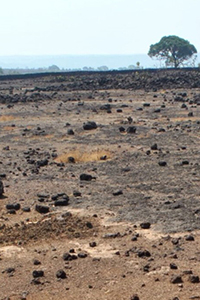 photo of a dry plateau in India's Western Ghats