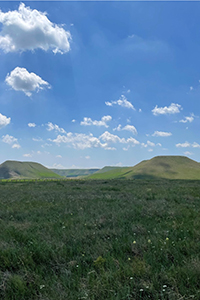 a picturesque photo of a vivid green grassland, with rolling hills in the background and a bright blue sky, festooned with fluffy clouds, above