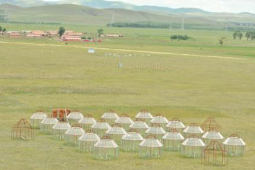 An aerial image of a field experiment with rows of enclosures on a grassland with hills behind
