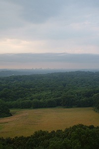 An aerial photo of forest