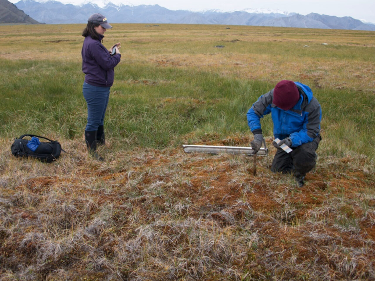 Two scientists in an Arctic landscape with field equipment.