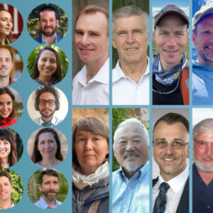 A collage of Early Career Fellows.