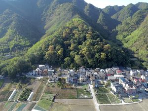 An aerial view of a forested hillside adjoining a cluster of houses and fields.