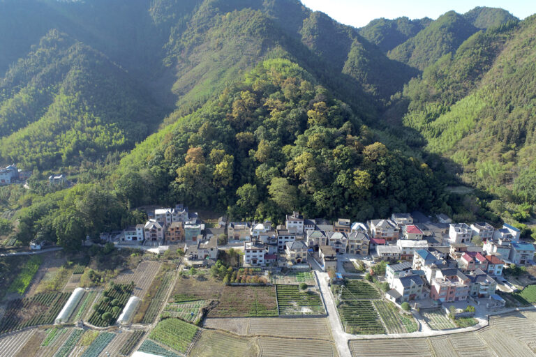 An aerial view of a forested hillside adjoining a cluster of houses and fields.