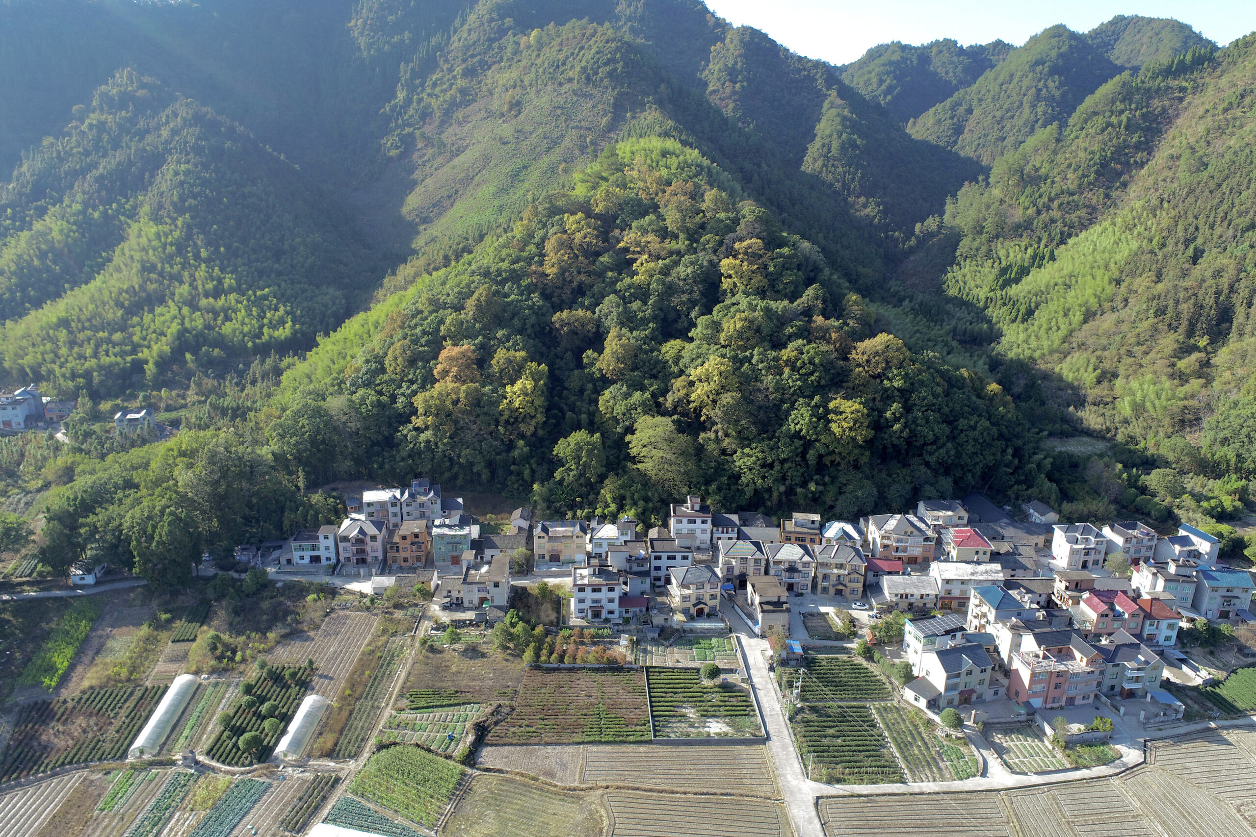 An aerial view of a forested hillside adjoining a cluster of houses and fields.