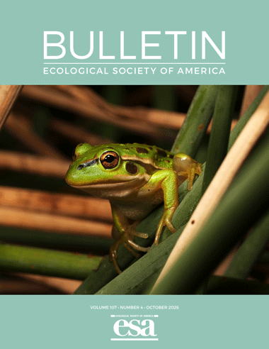 The October 2026 cover of the ESA Bulletin with photo of a Growling Grass Frog among reeds at the Merri Creek, Melbourne, Australia