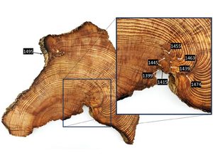A cross section of a tree trunk, with an inset showing a closeup of the tree rings and dates marking specific fire scars