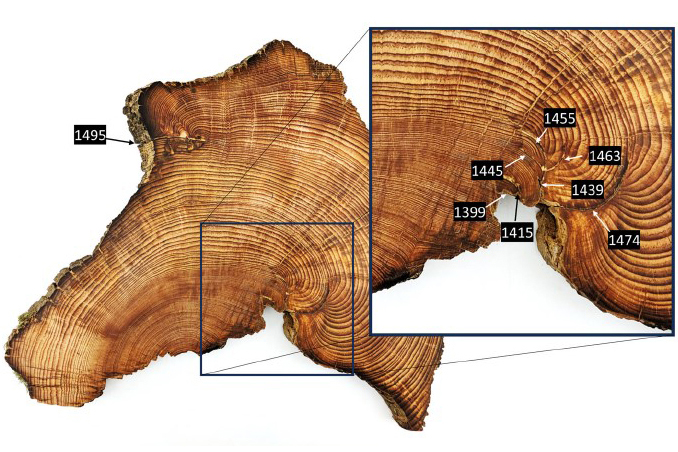 A cross section of a tree trunk, with an inset showing a closeup of the tree rings and dates marking specific fire scars