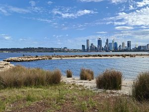 A curving beach covered with grasses and rushes in the foreground, with dense skyscrapers in the background