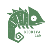 Design sem nome - 1